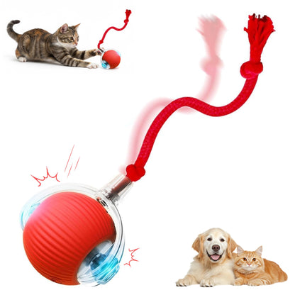 Ipawsplus Interactive Rolling & Bouncing Pet Toy Ball, Red
