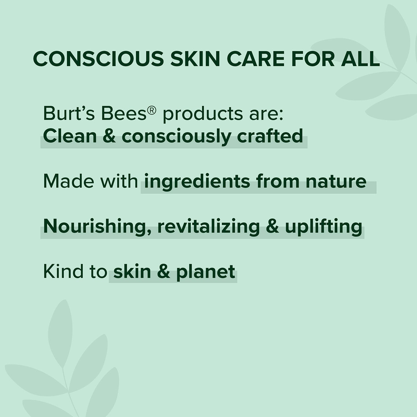 Burt's Bees Lip Balm, Beeswax