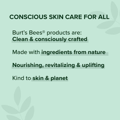 Burt's Bees Lip Balm, Beeswax