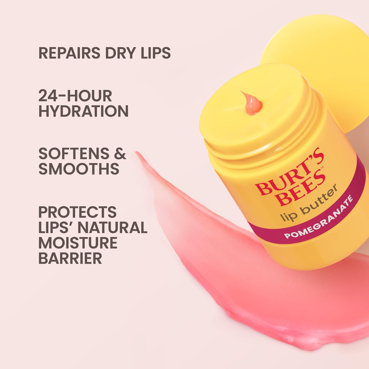 Burt's Bees Pomegranate Repairing Lip Butter