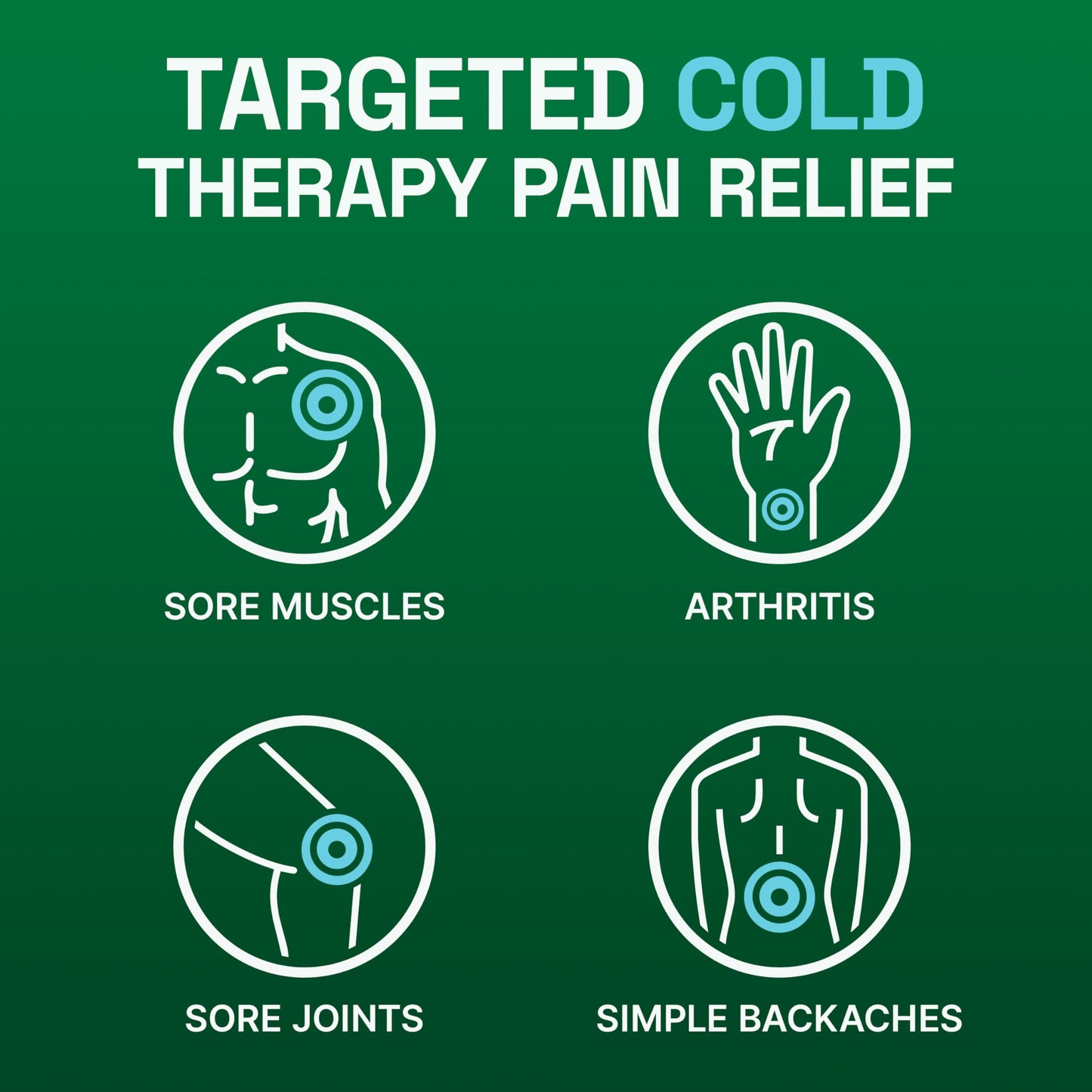 Biofreeze XL Pain Relief Patches 4ct