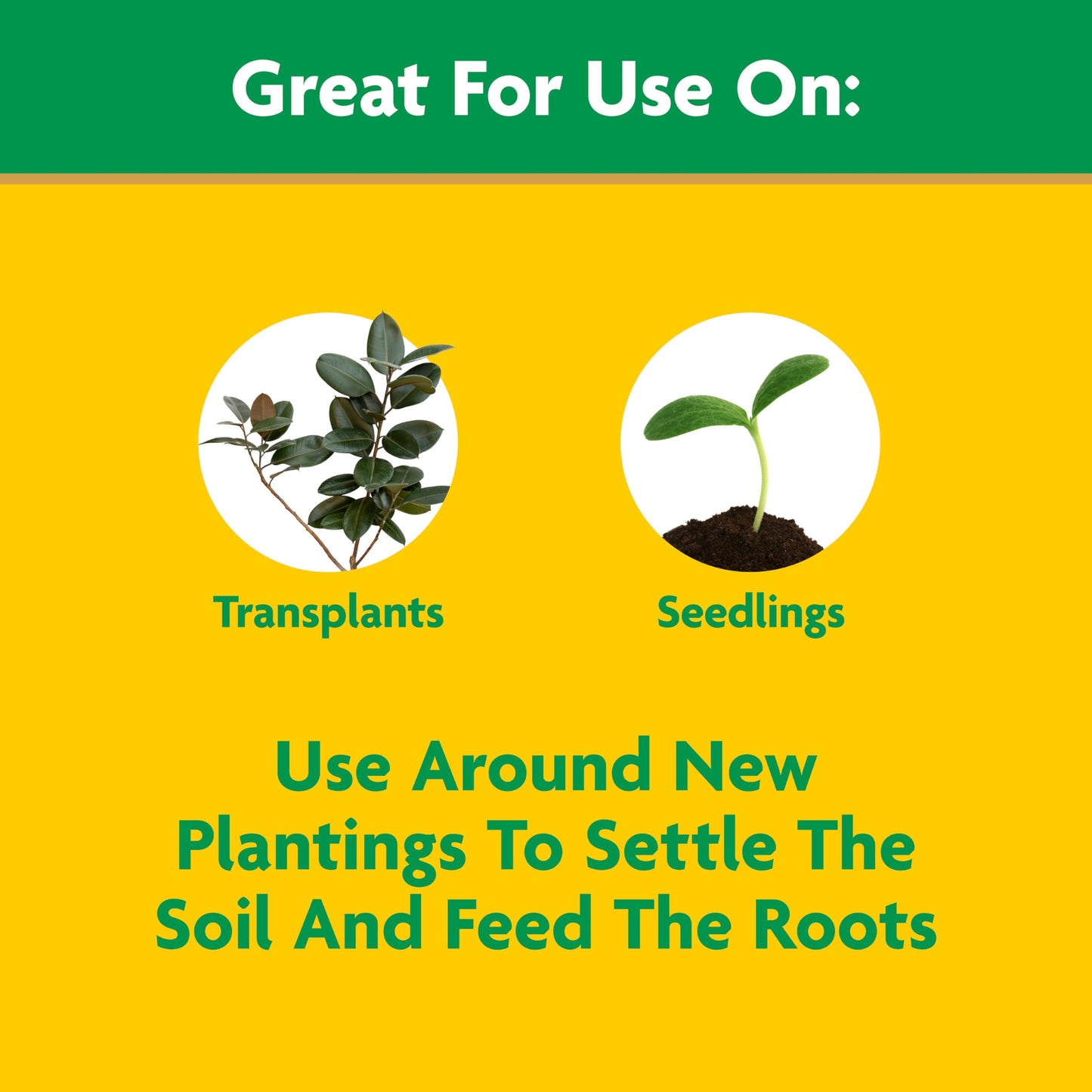 Miracle-Gro Quick Start Plant Solution 48 oz