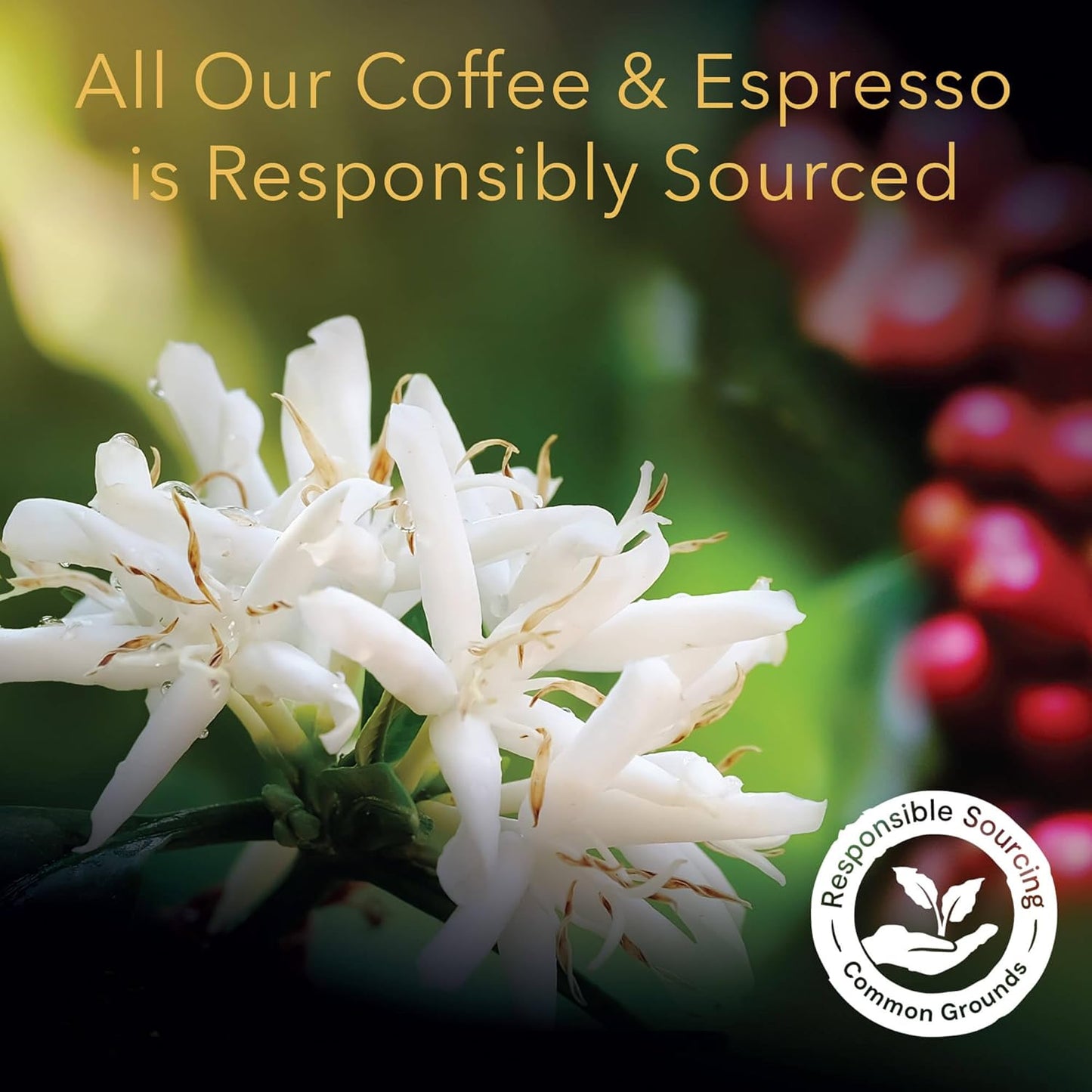 L'OR Espresso Capsules, 50 Count Mild Variety Pack, Single-Serve Aluminum Coffee Capsules Compatible with the L OR BARISTA System & *Nespresso Original Machines *Open Box* *Exp 11/30/25*