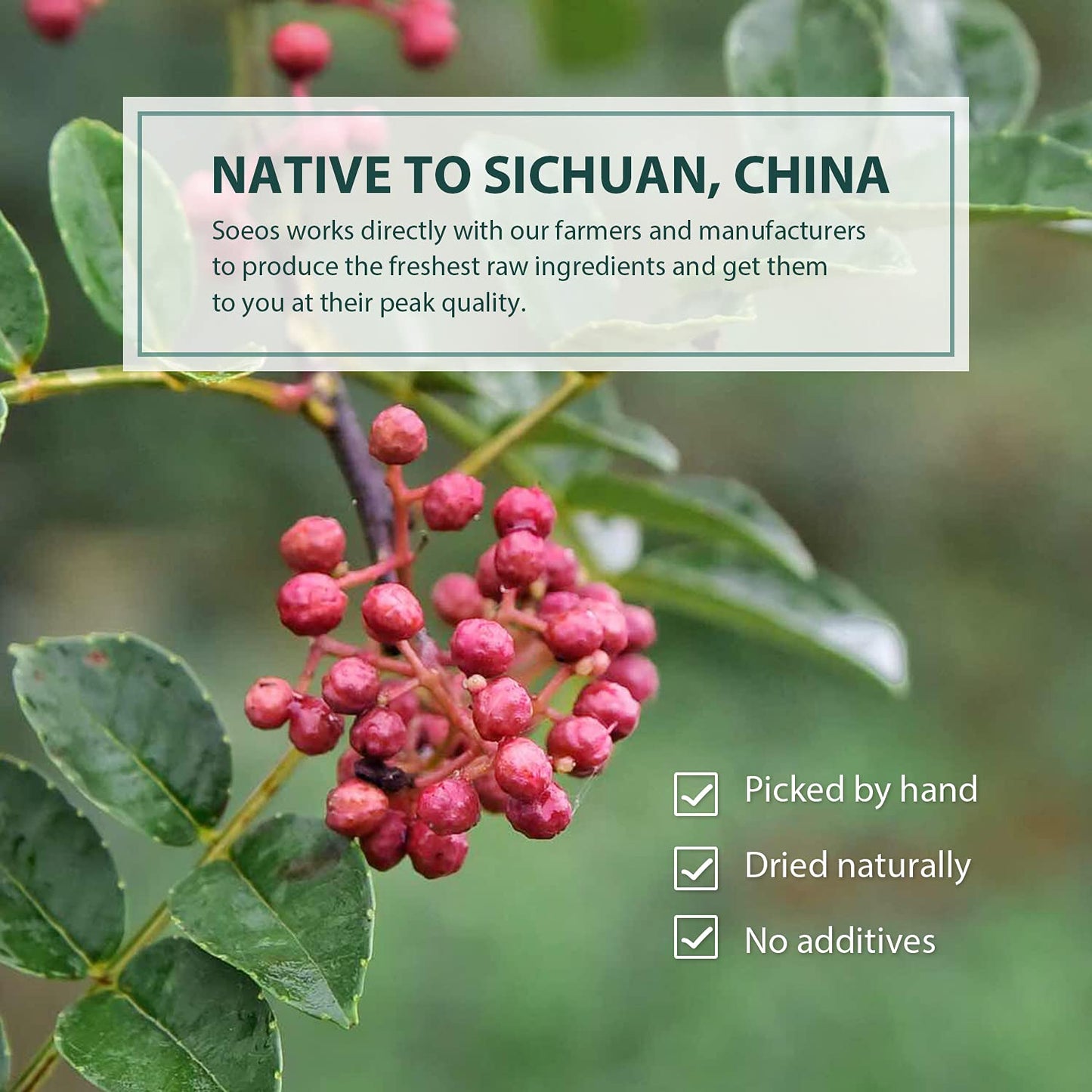 Soeos Sichuan Peppercorns, 8oz (BB Jun 26 2027)
