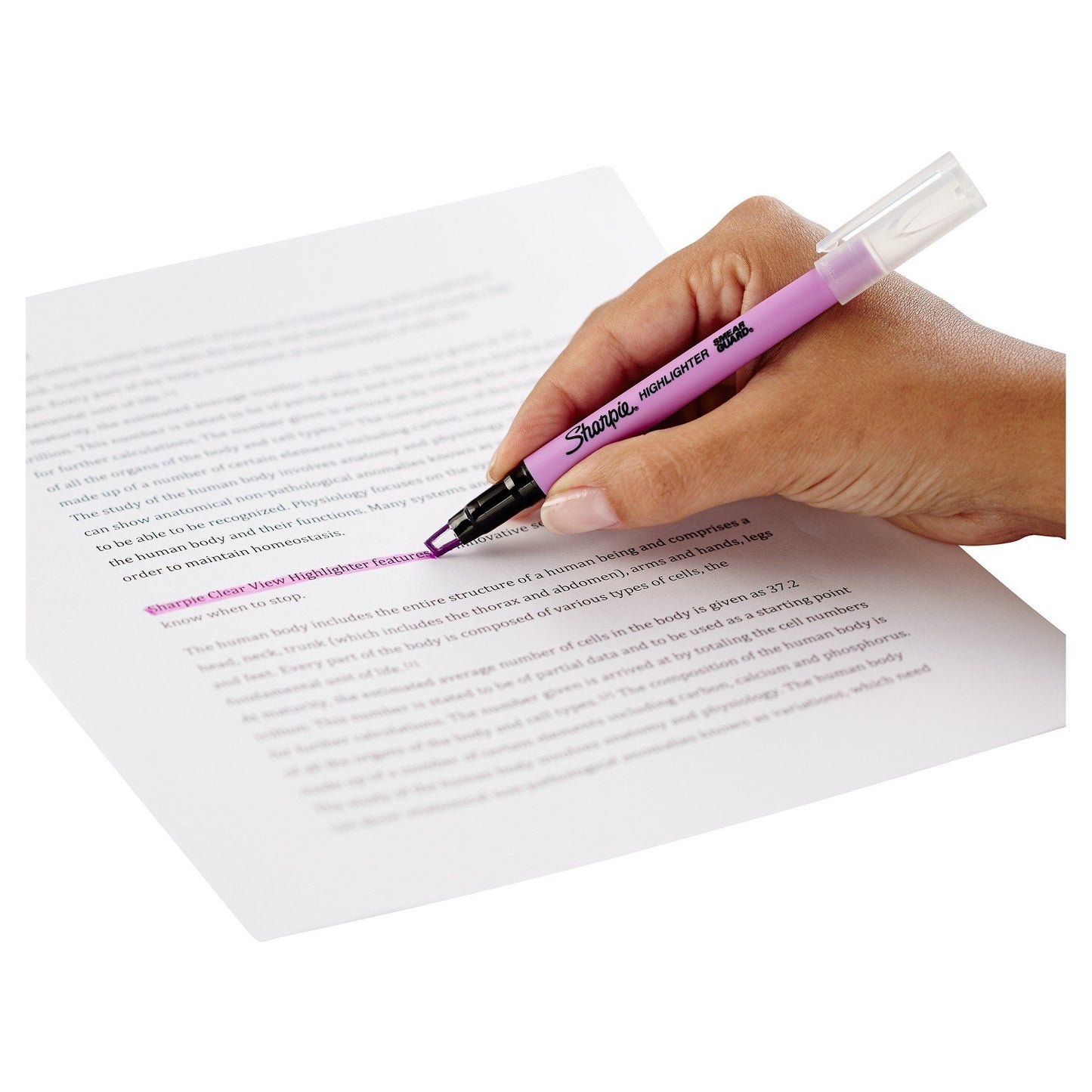 Sharpie Clear View Highlighter6ct - Multicolor