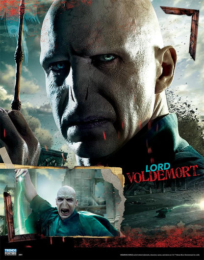 11X14 2 Poster Pack - Harry Potter Poster 2 Pack