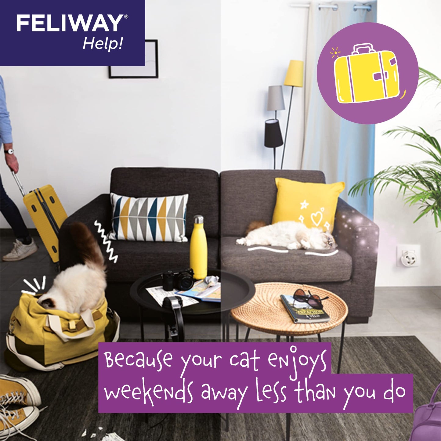 FELIWAY Help! Cat Calming Diffuser 7-Day Starter Kit