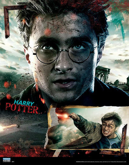 11X14 2 Poster Pack - Harry Potter Poster 2 Pack