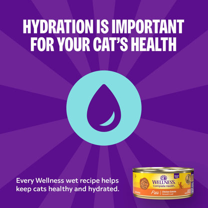Wellness Complete Health Adult Cat Food Turkey 3oz 24pk (Best By 12/09/2027)