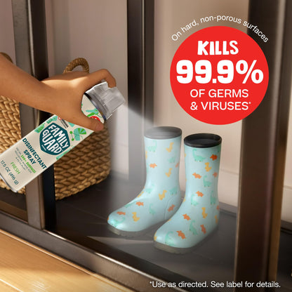 FamilyGuard Brand Disinfe Countant Spray