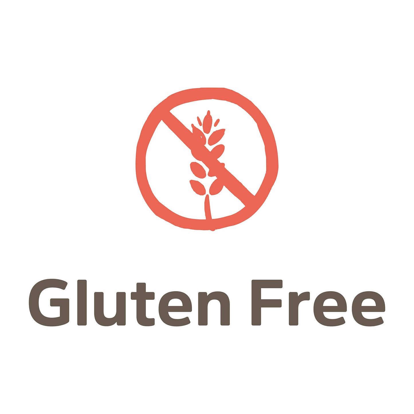 Amys Soup Lentil Golden (BB 02/2027)