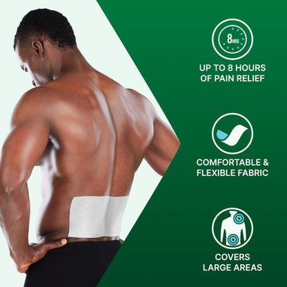 Biofreeze XL Pain Relief Patches 4ct