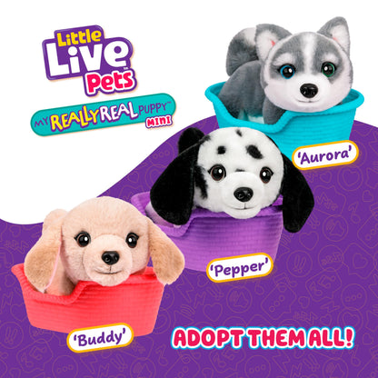 Little Live Pets My Really Real Puppy