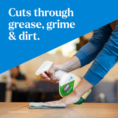 Clorox CloroxPro EcoClean All-Purpose Cleaner 1 Qt