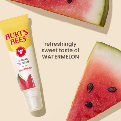 Burt S Bees Watermelon and Berry Medley Rescue Lip Relief 2-Pack 0.35 Oz