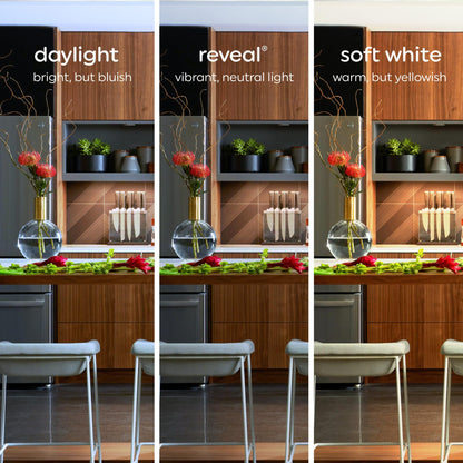 GE Reveal LED Light Bulbs, Candle Lights (2 Pack)