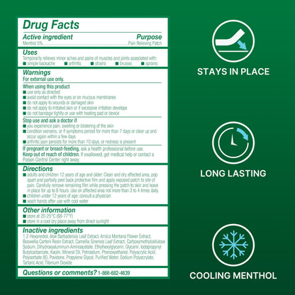 Biofreeze XL Pain Relief Patches 4ct