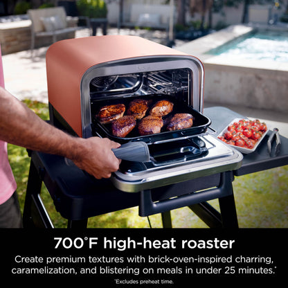Ninja Woodfire Outdoor Pizza Oven