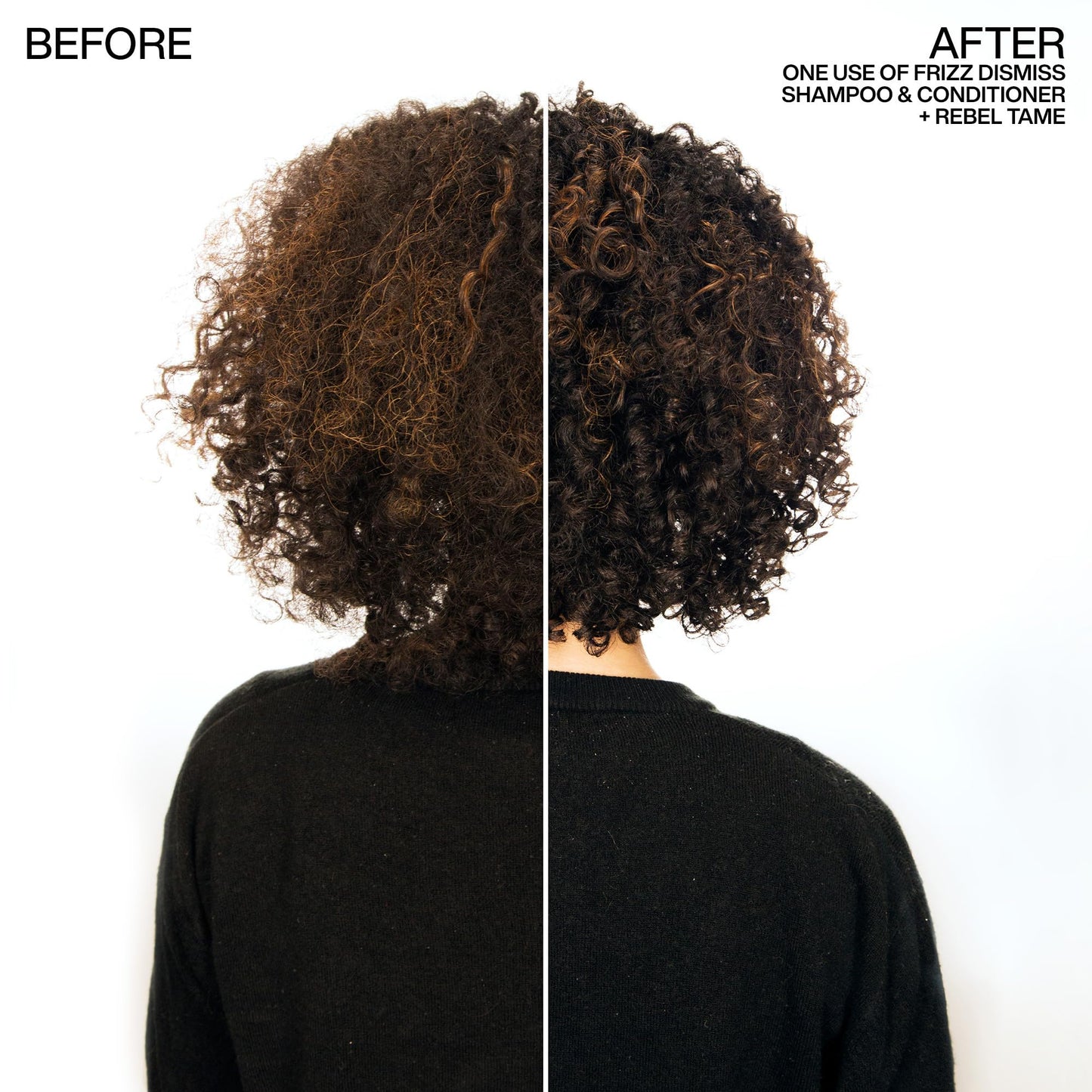 Redken Frizz Dismiss Shampoo