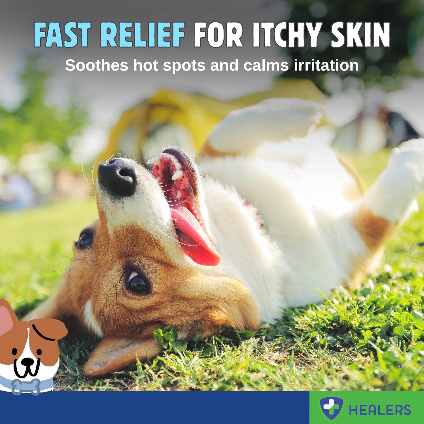Healers Itch Relief Spray for Dogs (Damaged Box)