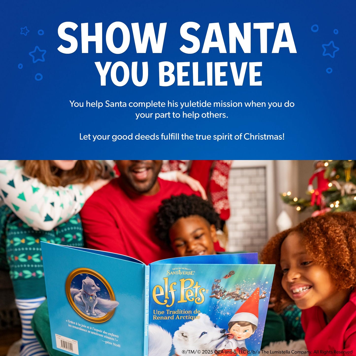 Elf Pets: An Arctic Fox Tradition - Storybook Included - Damaged Packaging
