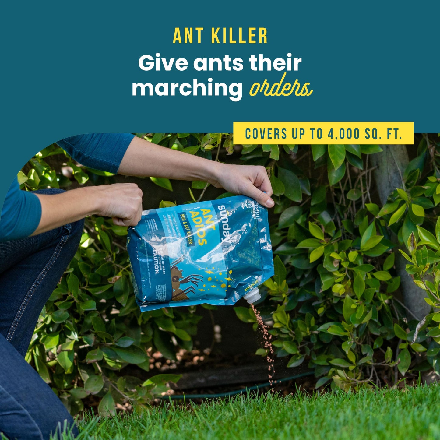 Bug & Ant Killer - 2Lbs