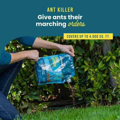 Bug & Ant Killer - 2Lbs