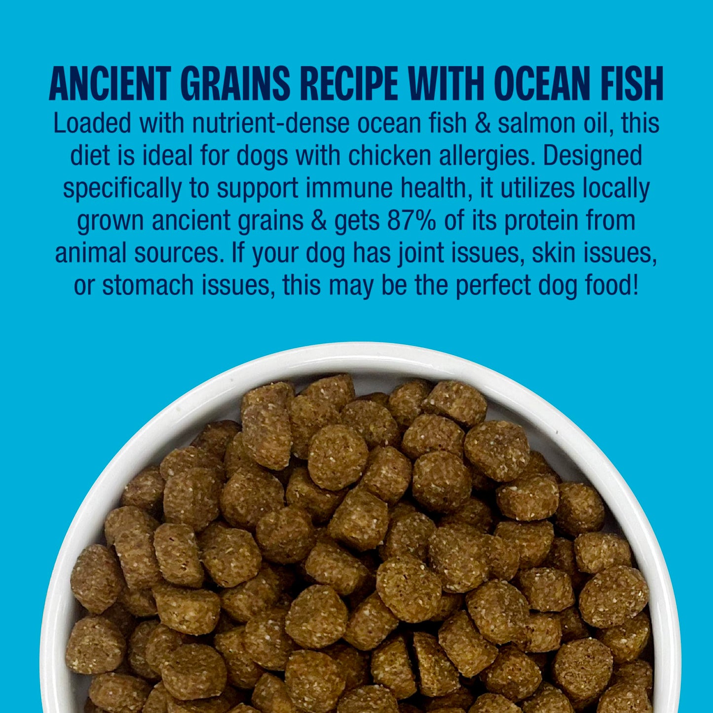 Muenster Ancient Grains Ocean Fish Dog Food 22lb (Best By 09/10/2026)