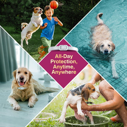 Allyeah Natural Flea and Tick Collar for Dogs - 4 Pack, Waterproof, Adjustable Size for All Dog