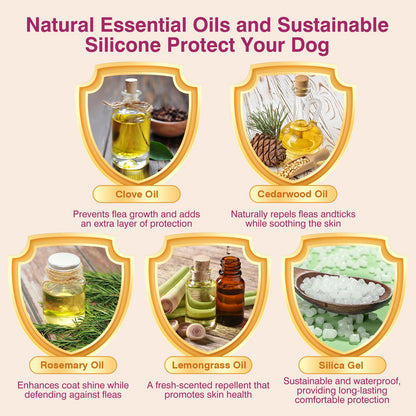 Allyeah Natural Flea and Tick Collar for Dogs - 4 Pack, Waterproof, Adjustable Size for All Dog