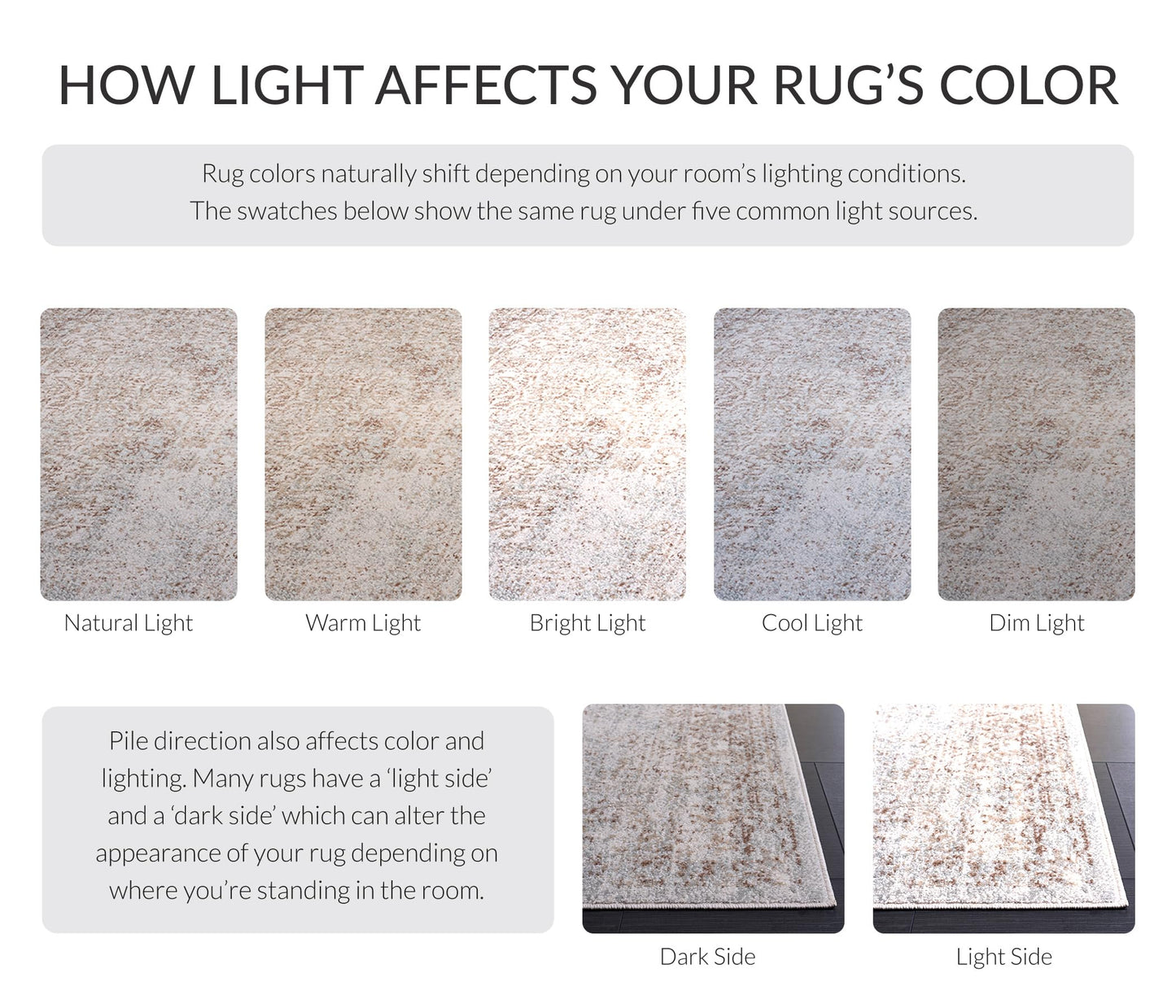 SAFAVIEH Area Rug 9x12 - Evoke Collection - Large - Ivory & Taupe