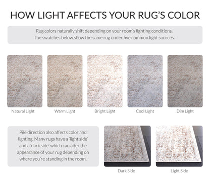 SAFAVIEH Area Rug 9x12 - Evoke Collection - Large - Ivory & Taupe