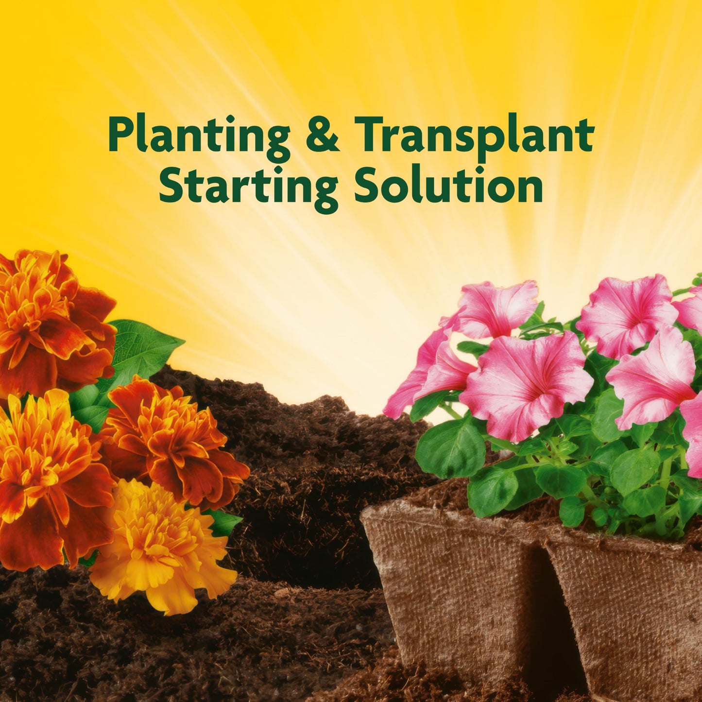 Miracle-Gro Quick Start Plant Solution 48 oz