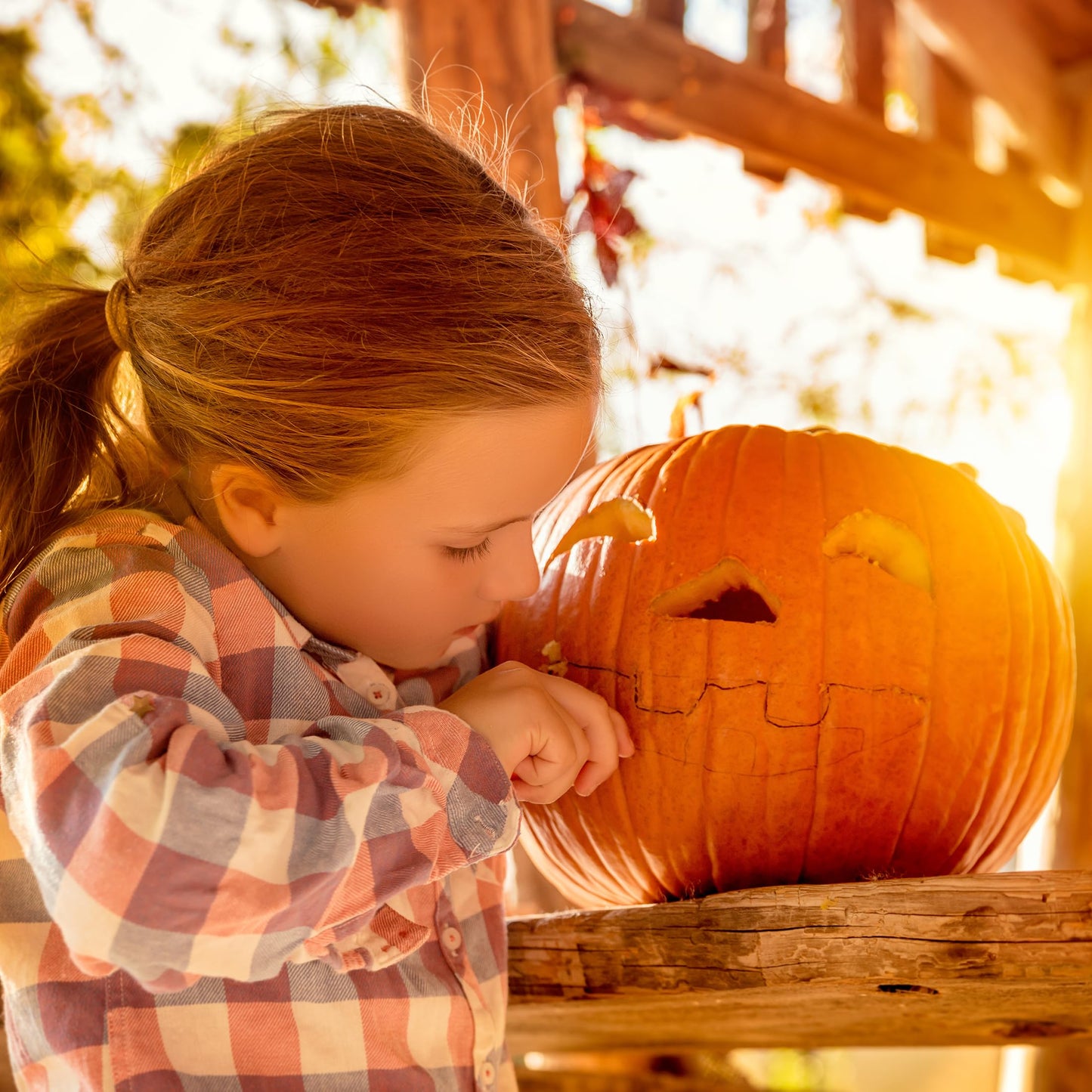 Pumpkin Masters Premium Carving All-in-One Party Kit
