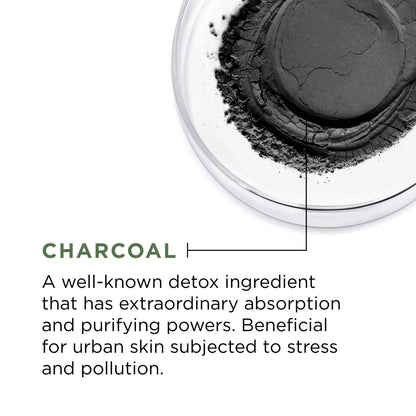 L'Oréal Paris Pure Clay Charcoal Face Mask 1.7 oz