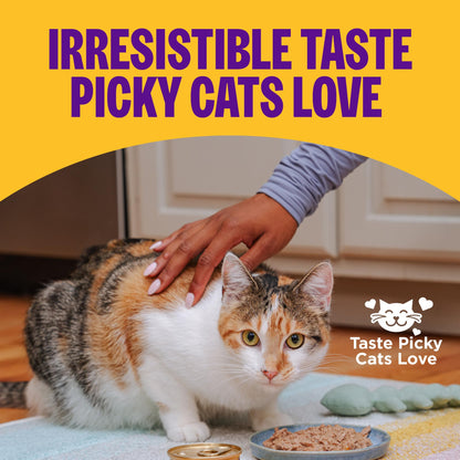 Wellness Complete Health Adult Cat Food Turkey 3oz 24pk (Best By 12/09/2027)