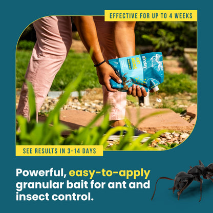 Bug & Ant Killer - 2Lbs