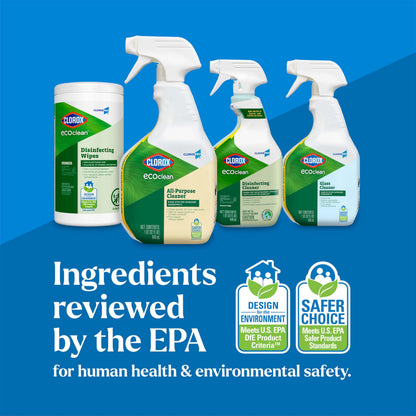 Clorox CloroxPro EcoClean All-Purpose Cleaner 1 Qt