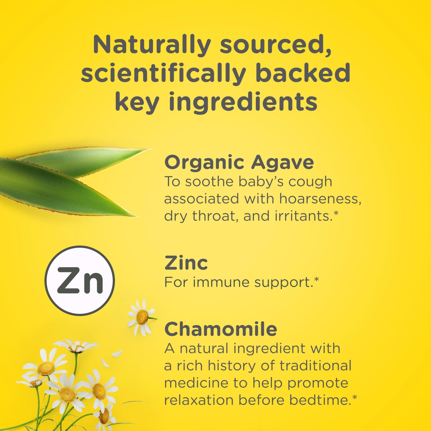 Zarbee's Baby Cough Syrup