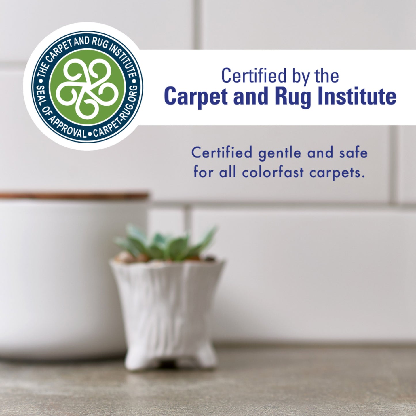 Rocco & Roxie Stain Odor Eliminator Spray - 32oz *Damaged Bottle*