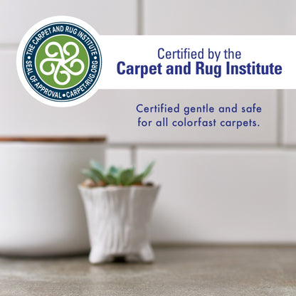 Rocco & Roxie Stain Odor Eliminator Spray - 32oz *Damaged Bottle*