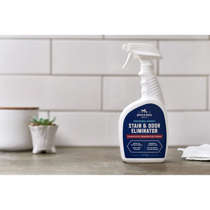 Rocco & Roxie Stain Odor Eliminator Spray - 32oz *Damaged Bottle*