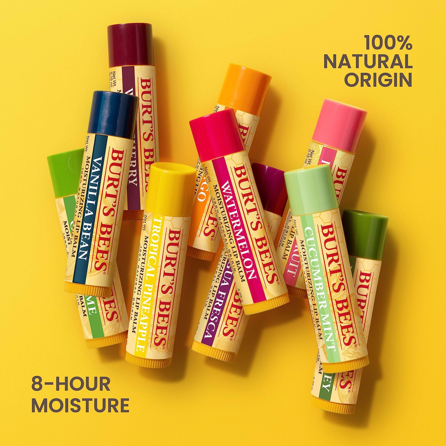 Burt's Bees Vanilla Bean Lip Balm 1 Tube