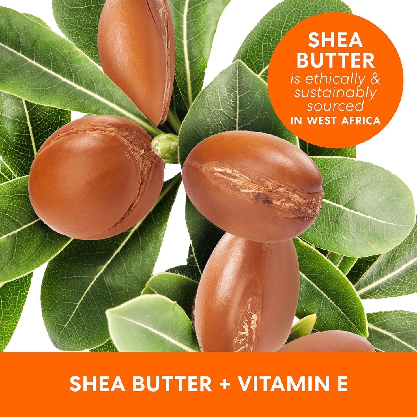 Palmer's Raw Shea Nourish Body Oil 250 Ml