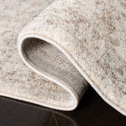 SAFAVIEH Area Rug 9x12 - Evoke Collection - Large - Ivory & Taupe