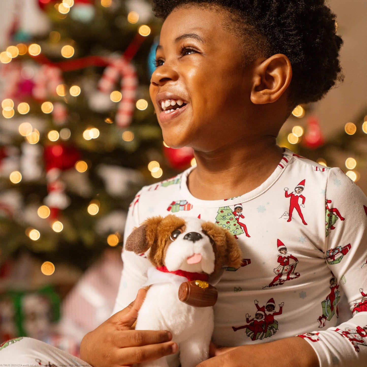 Elf Pets: a Saint Bernard Tradition – Includes St. Bernard Plush and Storybook