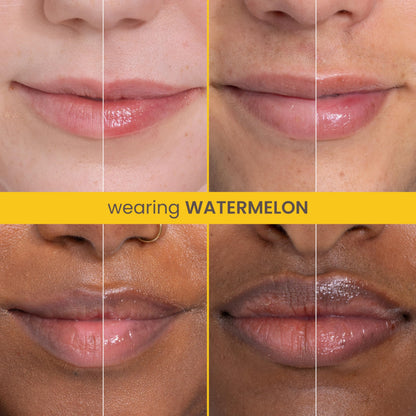 Burt S Bees Watermelon and Berry Medley Rescue Lip Relief 2-Pack 0.35 Oz