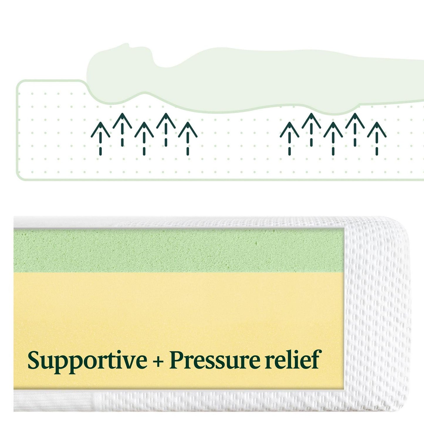 Spa Sensations 8" Serenity Memory Foam Mattress by Zinus Size: Queen *Open Box - New Sealed*