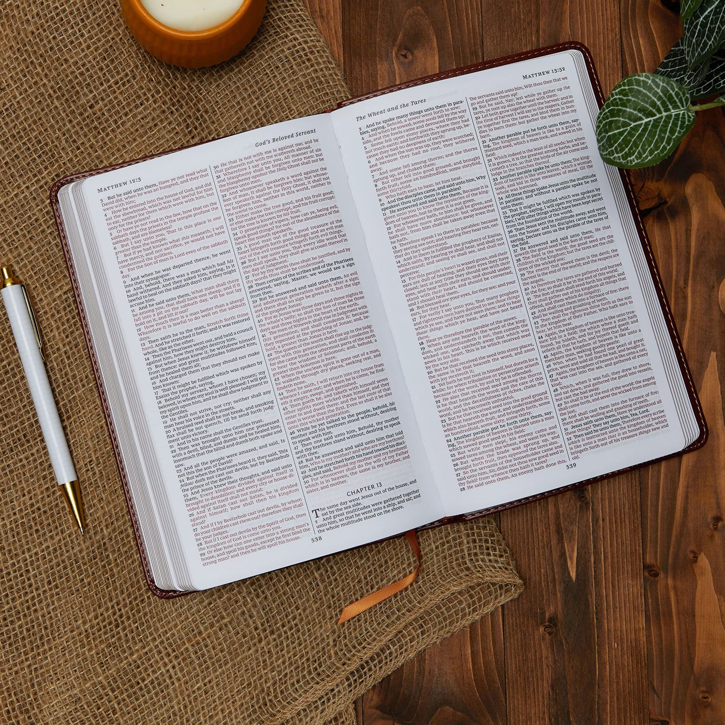 KJV Holy Bible: King James Version