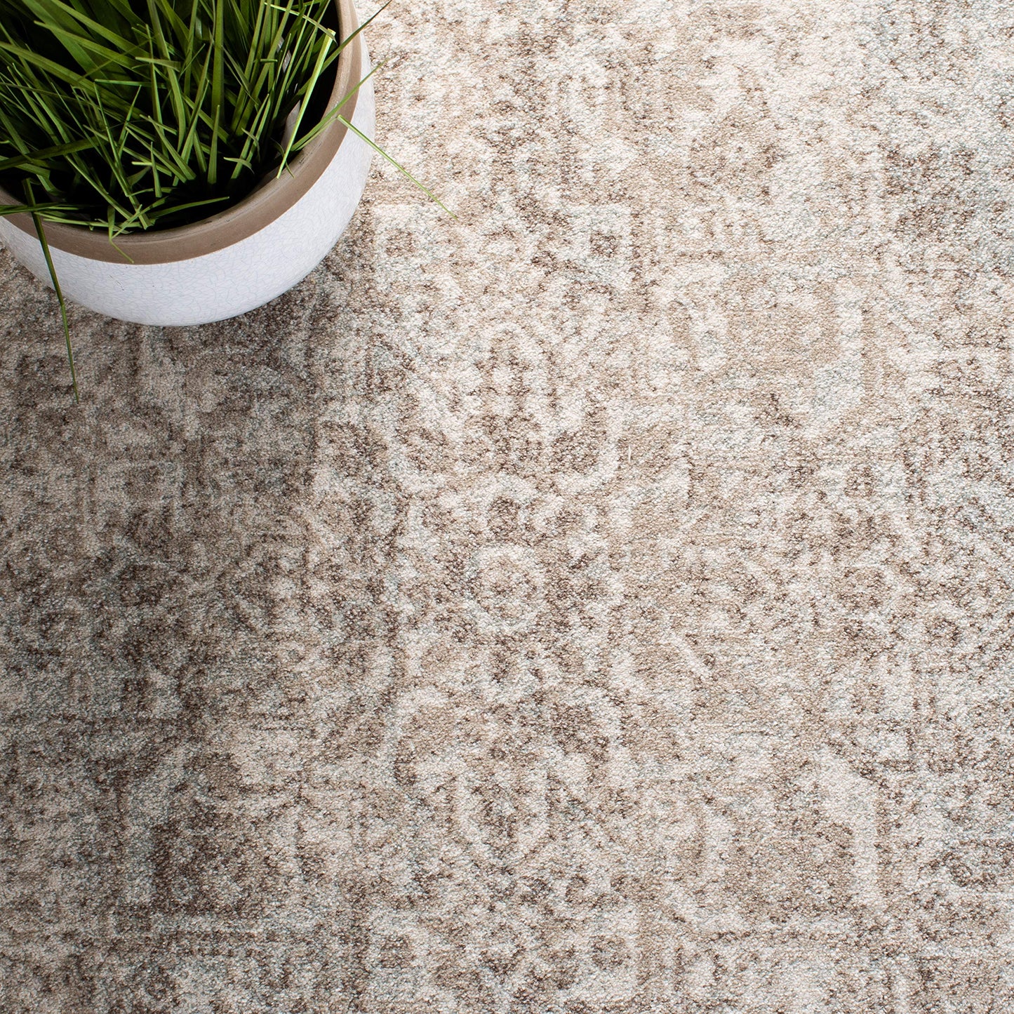 SAFAVIEH Area Rug 9x12 - Evoke Collection - Large - Ivory & Taupe